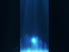 Imballaggio di magazzino (1)